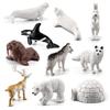 10Pcs Arctic Circle Ocean Sea Animal Figurines Set  Animal Learning Models Figures Christmas New Year Birthdays Gift