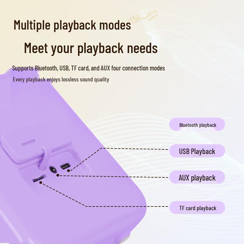 Dianyin Wireless Karaoke Speaker with Dual Microphones