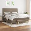 3137097 vidaXL Divan Bed with Mattress Taupe 180x200 Cm Fabric