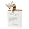Organize Gift Package Desktop Ornament Kraft Paper Bag Double Layers Storage Basket Vase Flowerpot