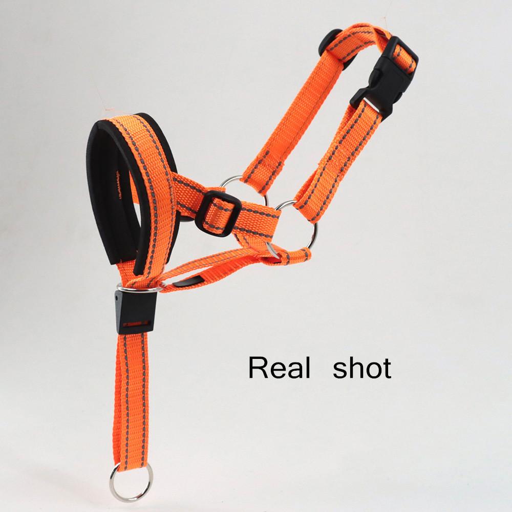 Dog Muzzle Adjustable Anti-bite Mask Pet Traction Set Dog Muzzle Training With Pet Muzzle