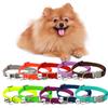 Pet Collar Safety Adjustable Buckle Design Puppy Collar Necklace Solid Color Cat Collar with Bell Pets Supplies