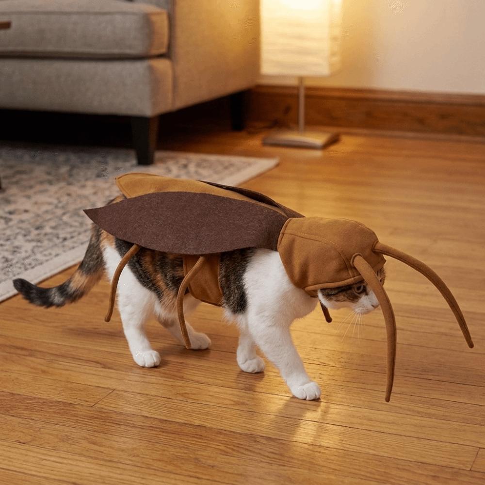 with Wing Pet Cockroach Cosplay Costume Realistic Cat Cosplay Clothes Halloween