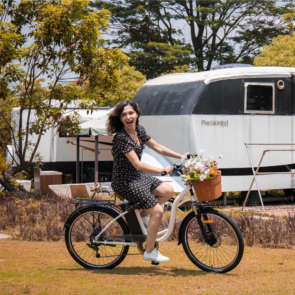 DYU C6 36V 350W Electric Bike - 80km Pedal Assist, Steel Frame & 26" Wheels for Long-Range Commuting