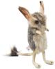 BH7497 HANSA Jerboa 19