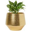 5 Inches, Eion Jr Metal Plant Pot, Decorative Modern Indoor Planter Flower Pots, Home Garden Decor Planter