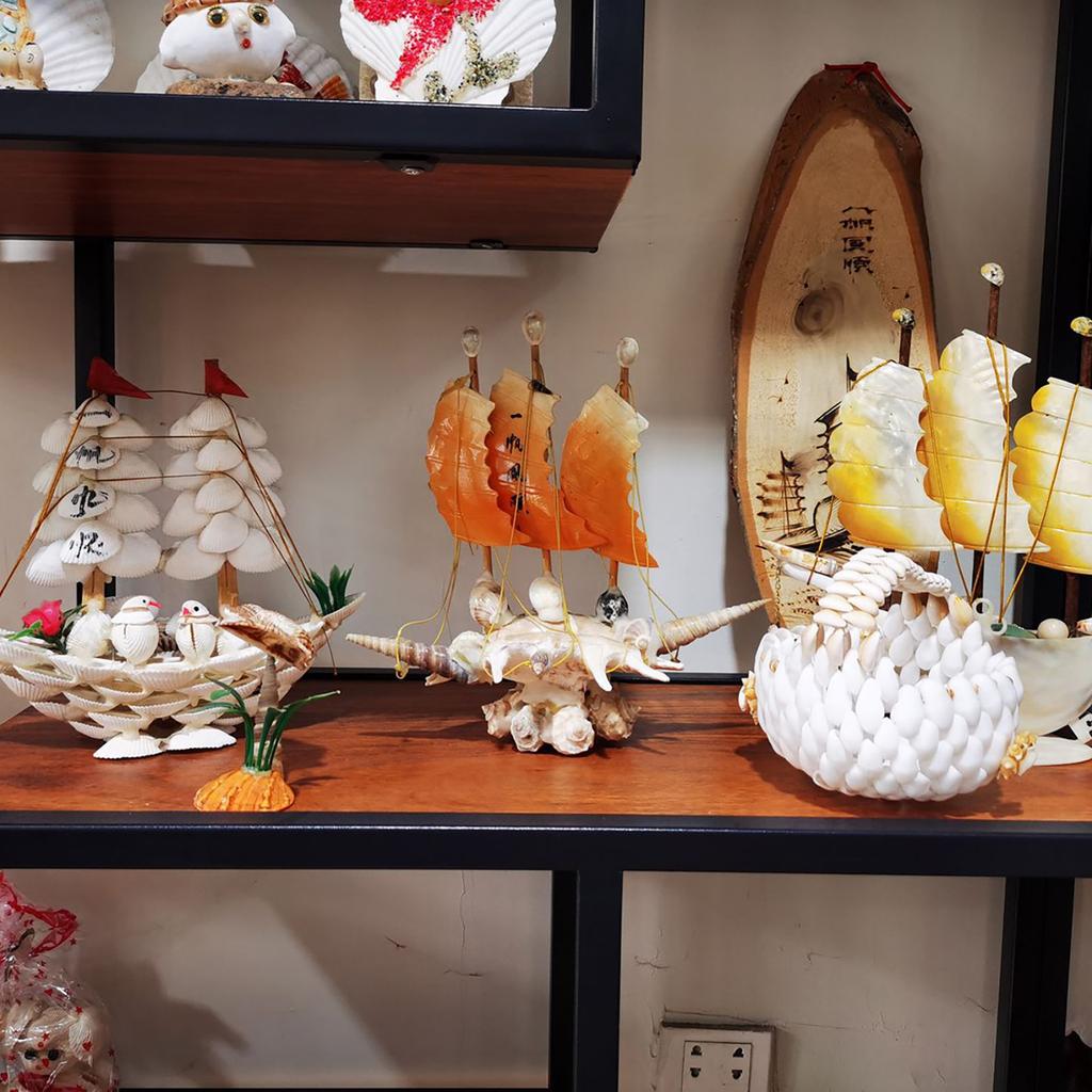 10pcs DIY White Seashells Perfectly For Handcrafting And Painting Activities For Kids And Adults House Decoration