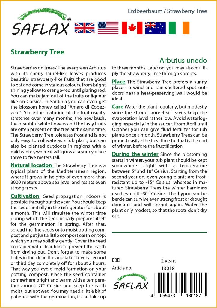 SAFLAX Земляничное дерево - 50 семян - Arbutus unedo