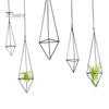 1 Set Practical Geometric Shape High Strength Flower Display Holder Tillandsia Hanging Planter Flower Container Decor Household Supplies