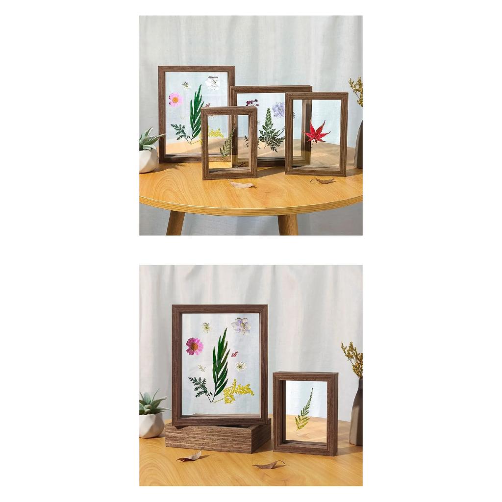 Double-Sided Transparent Glass Frame Creative Décor for Plants, Leaves, and Papercuts Versatile Picture Frame Artwork Display