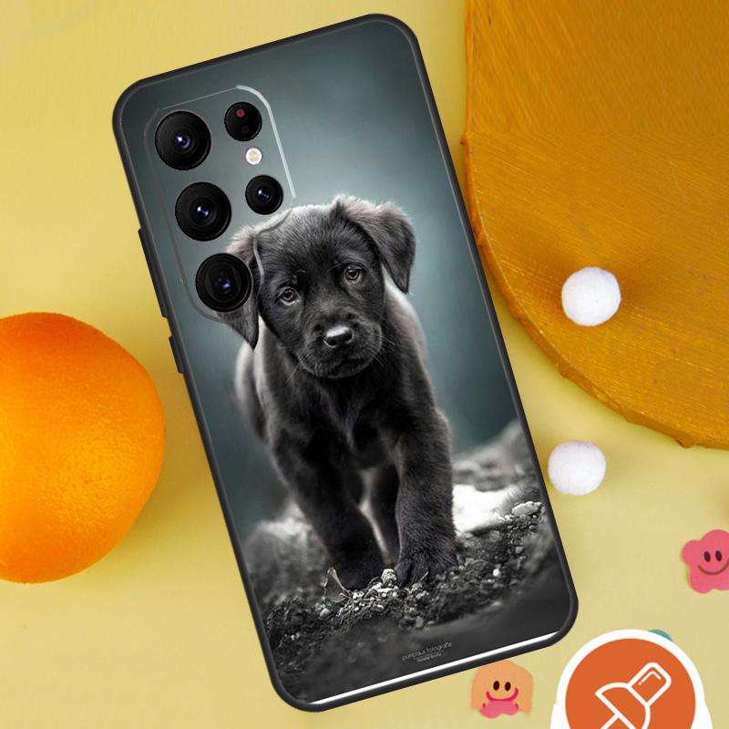 Labrador Puppy Dog Phone Case For Samsung Galaxy S25 Ultra S24 S23 S22 S21 Ultra S9 S10 Plus S20 FE Funda Cover