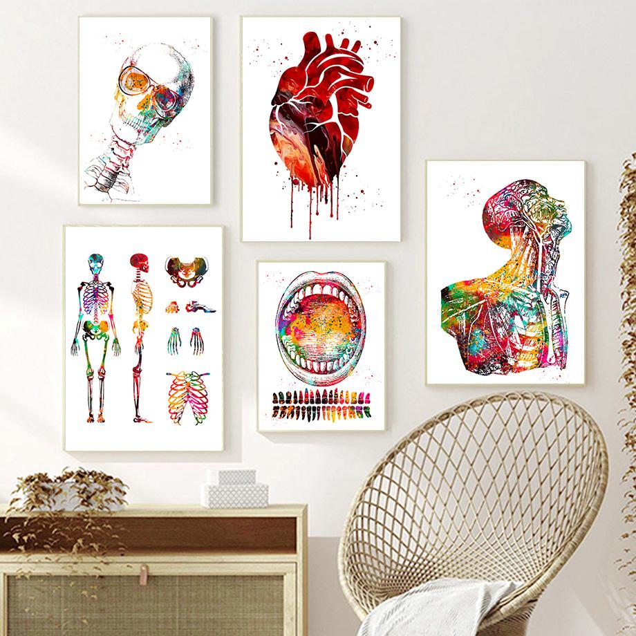 Медицинское образование, офисный постер, картина, настенная живопись на холсте, анатомия, картина мышц, гуманоид, украшение для дома, принт, Cuadros