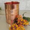 Luxury Copper Glass Tumbler, Drinkware, 300 ML, Pack of 1