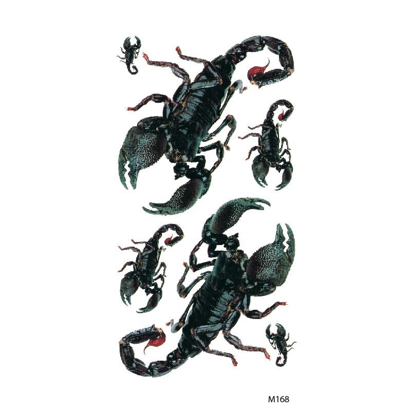 Customize Wolf Dragon Spider Scorpion Animal Temporary Tattoo Designs for Man
