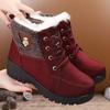 Northeast Thick Velvet Snow Boots Women's 2024 Winter New Thick-soled Velvet Warm Middle-aged and Elderly Non-slip Mother Cotton Shoes