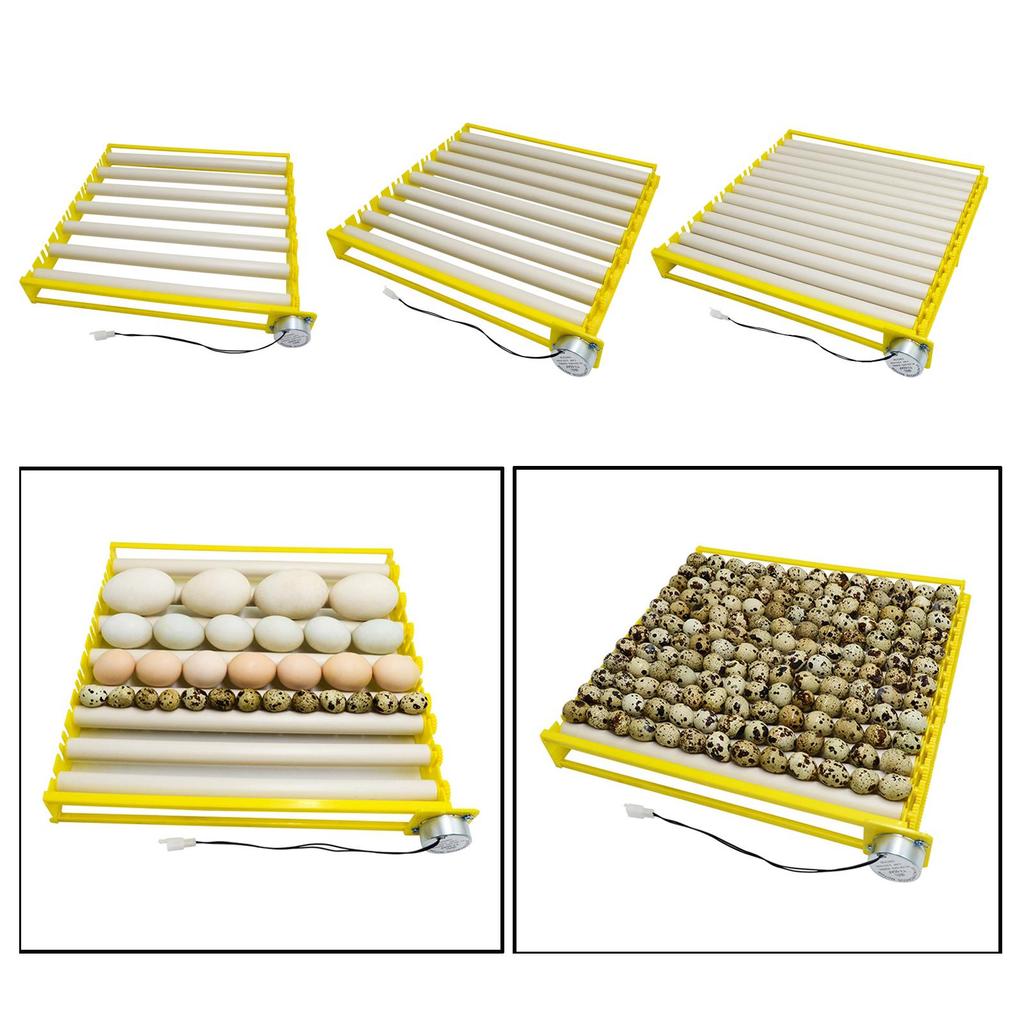 Plastic Egg Incubator Tray Accessories Automatic Egg Turner Duck Quail 220V