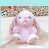 Plush Keychain Rabbit With Sitting Posture And Floral Design For Gift Bag