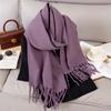 Luxury 2 Colours Cashmere Scarf Women Autumn Winter Shawl Pashmina Handkerchief Lady Pareo Soft Outdoor Windproof Travel Bufanda