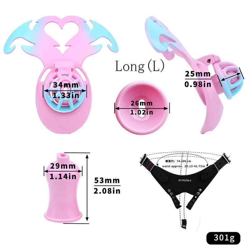 FRKO SM Sissy Flat Inverted Chastity Cage Lightweight Penis Rings ABS Resin Bondage Belt Chastity Urethra Slave Gay Sex Toys Men