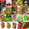 5D Diamond Painting Fruit Full Square Rhinestone Kit Diamond Embroidery Animal Mosaic Cross Stitch Handmade Gift