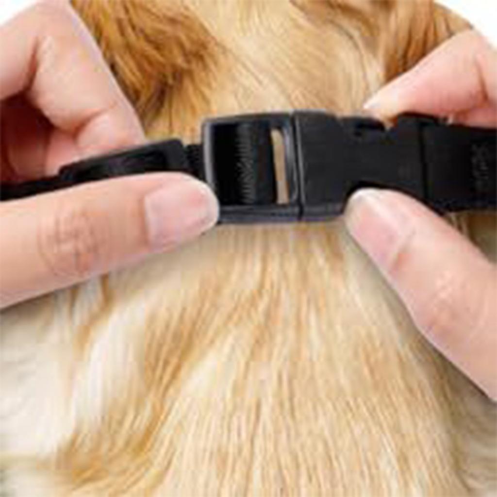 Намордник для собак - Мягкий сетчатый намордник для больших, средних и маленьких собак - Дизайн с передним отверстием, дышащий, регулируемый, кусающий и очищающий, собачья пасть