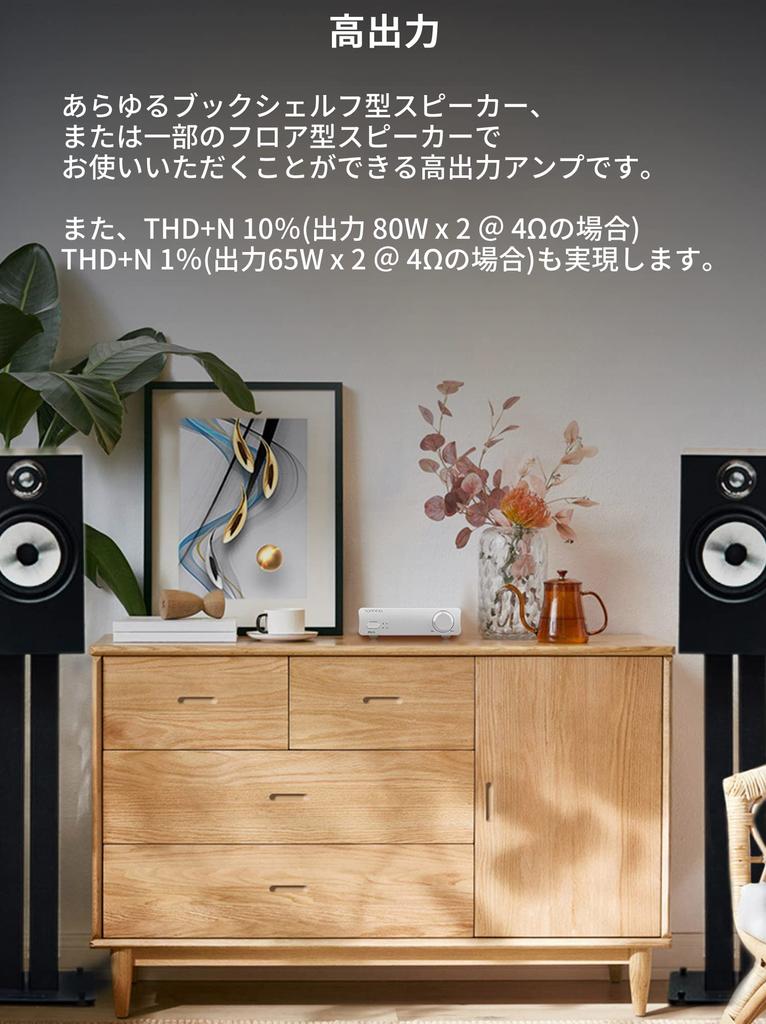 Topping PA3S Полный балансный усилитель мощности класса D, совместимый с входами RCA+TRS (СЕРЕБРЯНЫЙ)