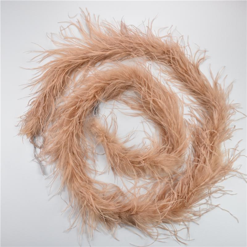 2Meters/Lot Ostrich Feather Boa Decor For Clothes Holiday Decorations Fluffy Feathers Cape Handicraft Accessories Plumas Trims