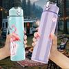 1PC Two Pink Flamingo Bird Print 750ml Color Plastic Sports Water Bottle Leakproof Flip Straw Lid Suitable for Sports Office Home Use