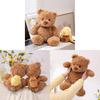 Bear Adorable Teddy Plush Toy With Capybara Companion Cute Animal Gift Perfect