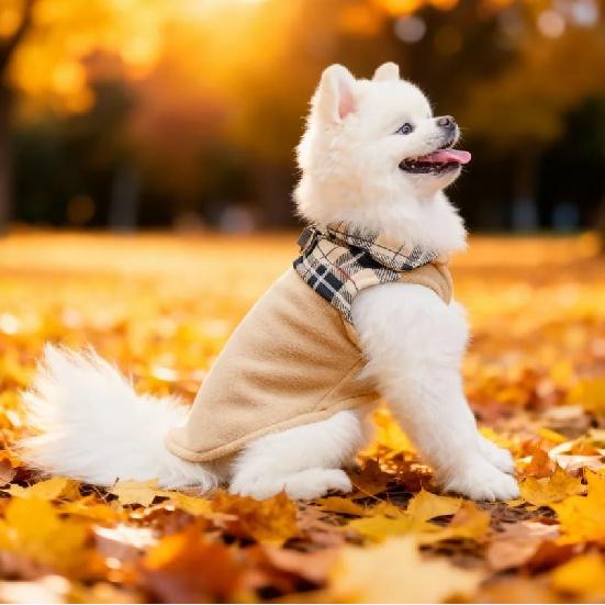 EXPAWLORER Флисовый свитер для собаки - Классическая клетчатая куртка-жилет для собаки, Зимняя одежда с 2 D-кольцами для поводка, Одежда для питомца в холодную погоду, Толстовка для мальчиков
