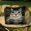Pet Cat Funny memes Cushion Cover Soft Reversible Durable Pillow Cover MultiScene Use for Home Car Daily Comfort