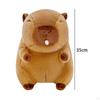 Bubble Capybara Plus Игрушка Фаршированная детская комната Декор Обнимающая плюшевая кукла для подростков