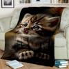Милое одеяло с ситцевым котом, котом Гарфилдом, персидским котом, мультяшным одеялом Ragdoll, мягкое одеяло для дома, спальни, кровати, дивана, покрывала, детское одеяло