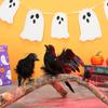 Model Party Event Supplies Artificial Crows Halloween Ornament Lifelike Black Bird Feathered Raven