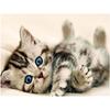 Cat DIY 5D Diamond Painting Rhinestone Animal Diamond Embroidery Cross Stitch Mosaic Full Round Drill Home Decor Art Gift