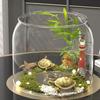 Transparent Fish Bowl Plastic Viewing Tank Light Luxury Desktop Small Aquarium  Office