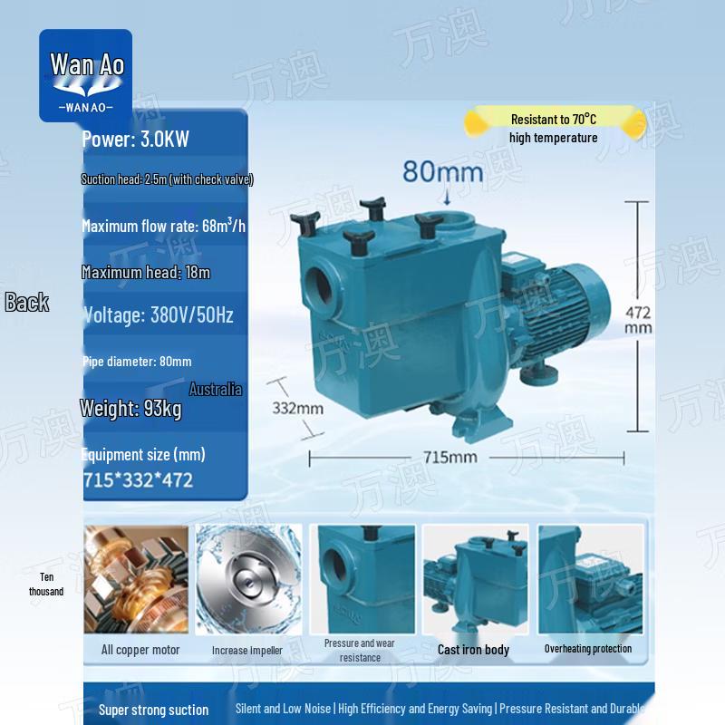 WanAo Iron Pool Pump
