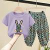 Children's Summer Suit In Small Children Short-sleeved T-shirt + Pants Two-piece Set