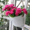 Semicircle Vintage Wall Mounted Iron Flower Pot Flower Basket Hanging Baskets Flower Vase