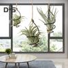 6 Pcs Air Plant Holder Metal Hanging Tillandsia Container Adjustable Swirl Air Plant Holder for Home Office Balcony Garden Decor