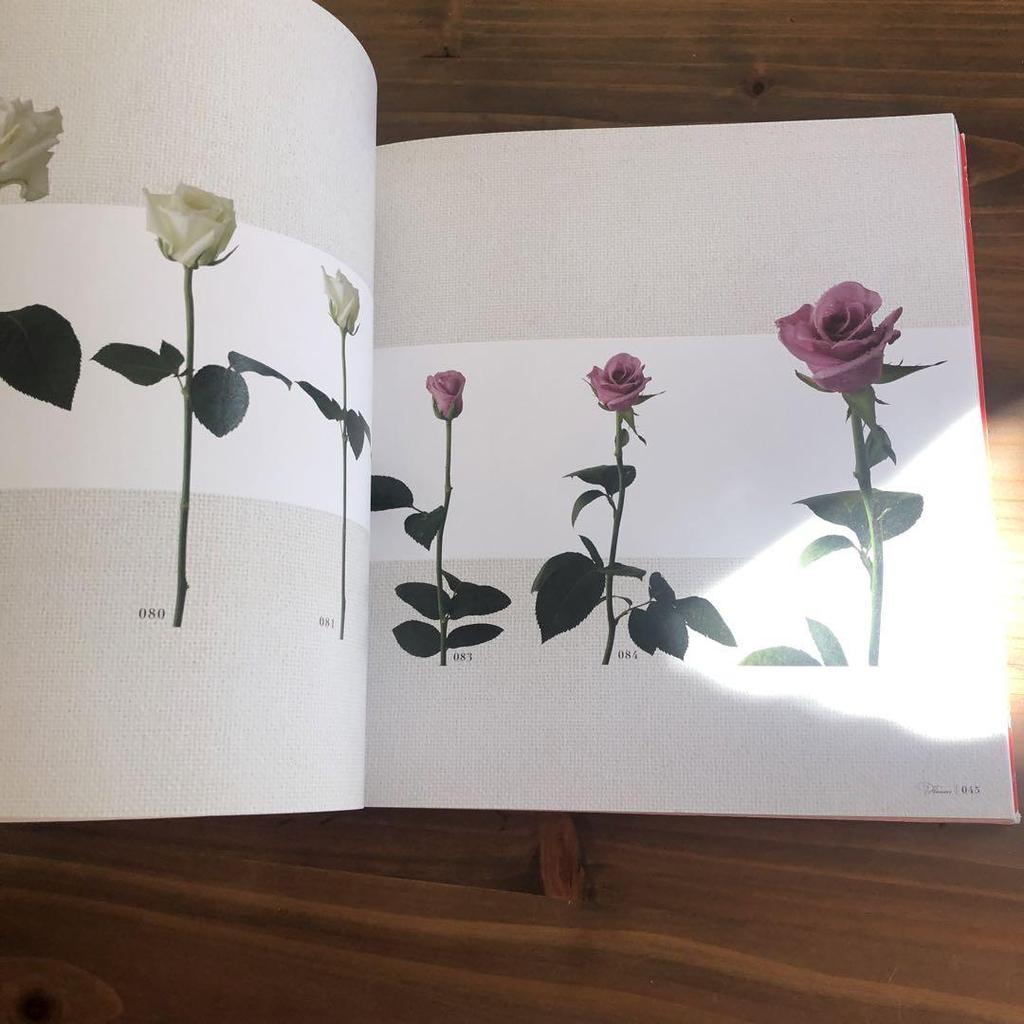 [USED] Flower Photo Collection (MdN)