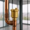 Standard Male Thread Automatic Exhaust Release Valve Brass Air Valve  Solar Water Heaters