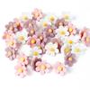 20/30/50Pcs Photo Wall Decor Six-Petal Flower Pushpins Creative Thumb Tacks  School