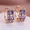 1 пара золотых серег принцессы овальной огранки с фиолетовым камнем, висячие серьги-крючки, свадебные украшения, подарки
