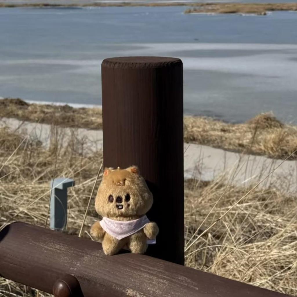 Stray Kids SKZ 5'CLOCK Official Merchandise - SKZOO Plush (10CM Ver.)