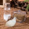 Rutin Chicken Automatic Food Feeder Large Capacity Anti-Overturning Food Box Poultry Feeding Supplies Clear Food Dispenser