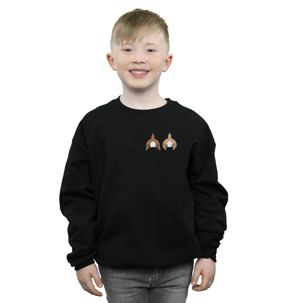 Disney Boys Chip N Dale Backside Breast Print Sweatshirt
