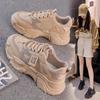 Shoes Women's 2025 New Spring Popular Platform Dad Shoes Casual Versatile Spring and Autumn Mesh Breathable Sports Women's Shoes