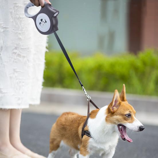 5m Retractable Pet Leash with LED Flashlight Ergonomic Handle Adjustable Long Walking Dog Leash for Small Medium Dogs