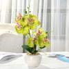 No Watering Simulation Phalaenopsis Colored Beautiful Garden Balcony Fake Faux Silk Flower Decoration